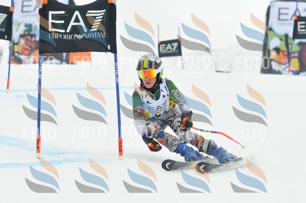 DSC_8460 | holidayphoto