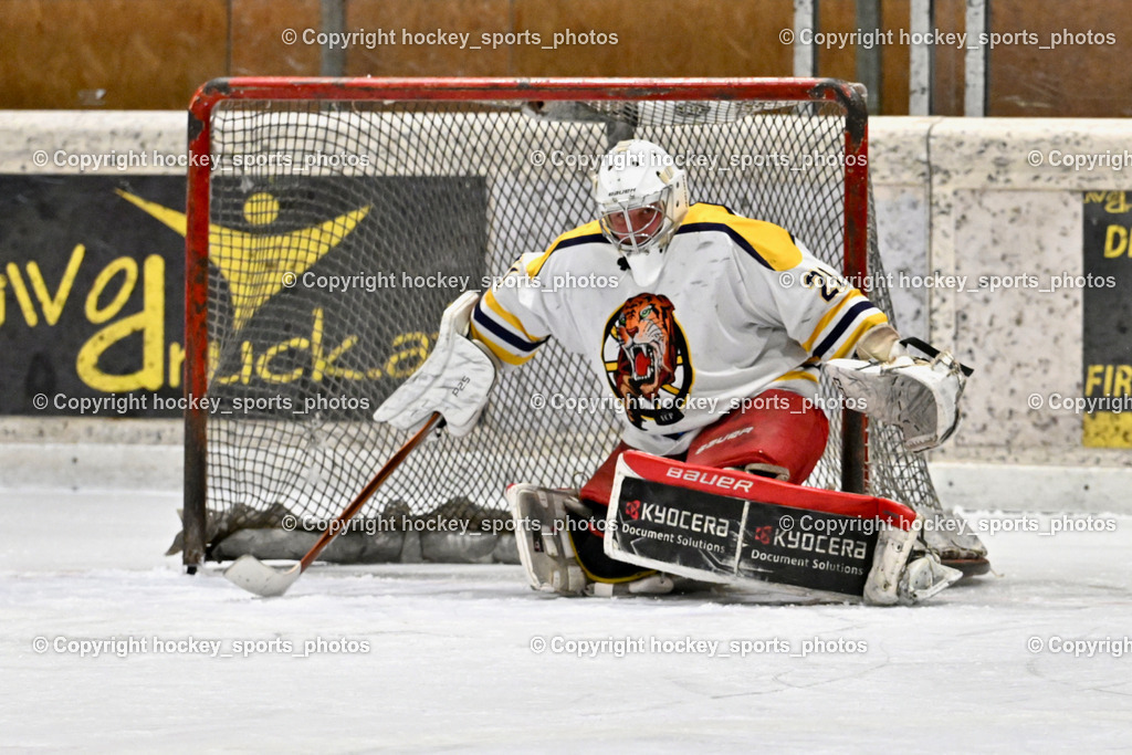 EC Tigers Paternion vs. Tarco Wölfe II | #21 Lesacher Jürgen EC Tigers Paternion, EC Tigers Paternion vs. Tarco Wölfe II, EC Tigers Paternion vs. Tarco Wölfe II am 19.12.2024 in Spittal an der Drau (Eissportzentrum Spittal), Austria, (Photo by Bernd Stefan)