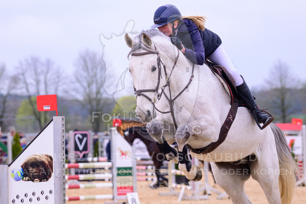 10042026-Mammendorf-Prfg17-0468 | Fokus Hufschlag Fotografie - Realisiert mit Pictrs.com