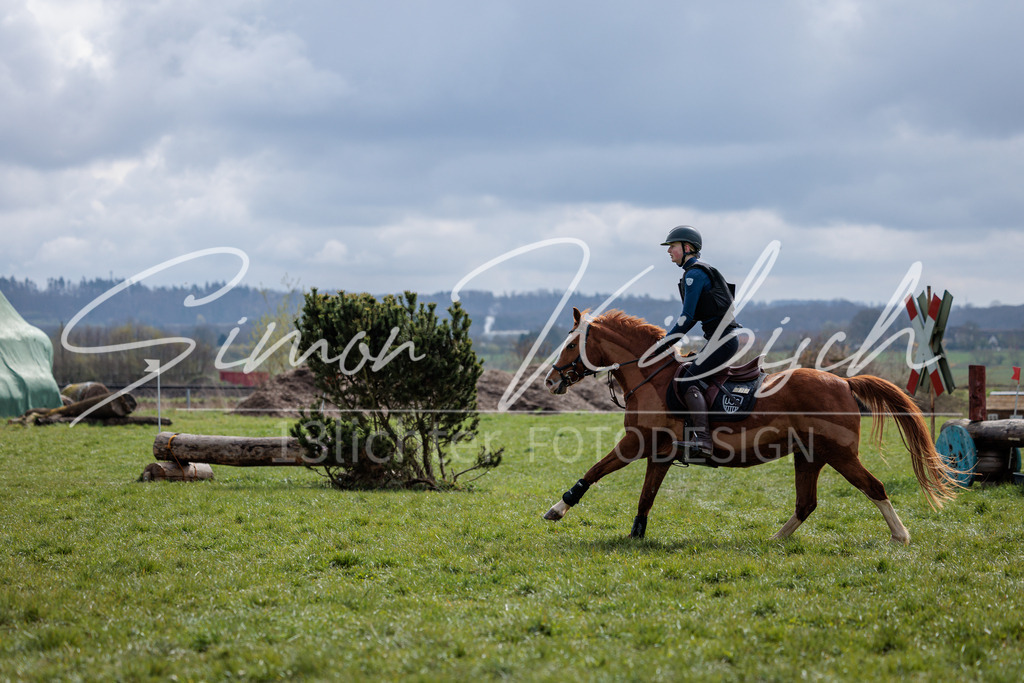20260329-_3LI4746 | Tierfotografie Pferde, Hunde, Katzen, Haustiere.
Turnierfotografie Reitturniere, Reiten, Springreiten, Dressur in Hanau, dem Main-Kinzig-Kreis und dem Rhein-Main- Gebiet um Frankfurt