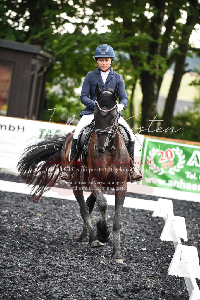 DSC_2787 | Pferde- und Turnierfotografie in Westsachsen. Pferdeportraits, Auftragszeichnungen und intuitive Kunst.