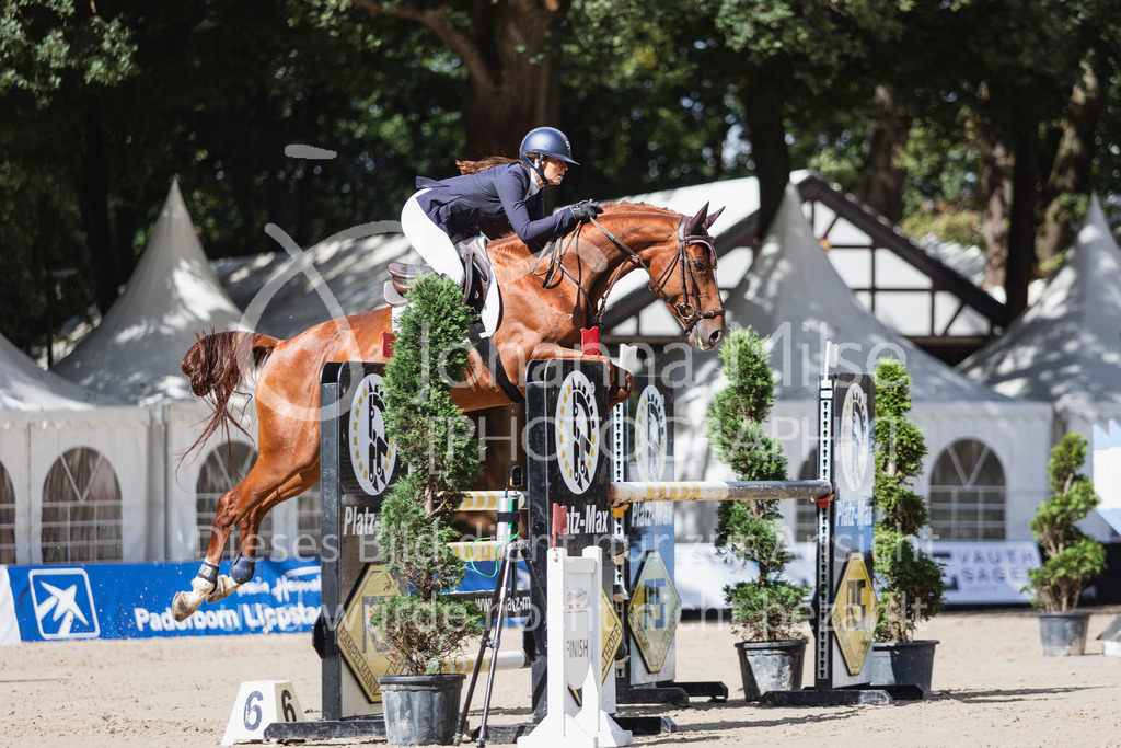 240912_OWLCh_SprPf-M-153 | Deine schönsten Turniermomente als professionelle Fotos! Entdecke hochwertige Pferdesport-Fotografie im Online-Shop. Jetzt Fotos finden & bestellen!