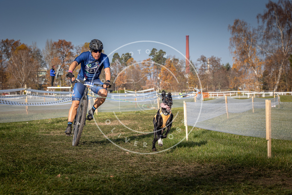 CaniXpix_0L8A7076 | Hundefotografie, Tierfotograf, Pfotenfotografie, Fotoshooting Hund, Hunde Portrait, Hundesport, Hundeportraits, Heideshooting, Hunde, Sportfotograf, Hundefotograf, Turnierhundsport, THS,  - Realisiert mit Pictrs.com
