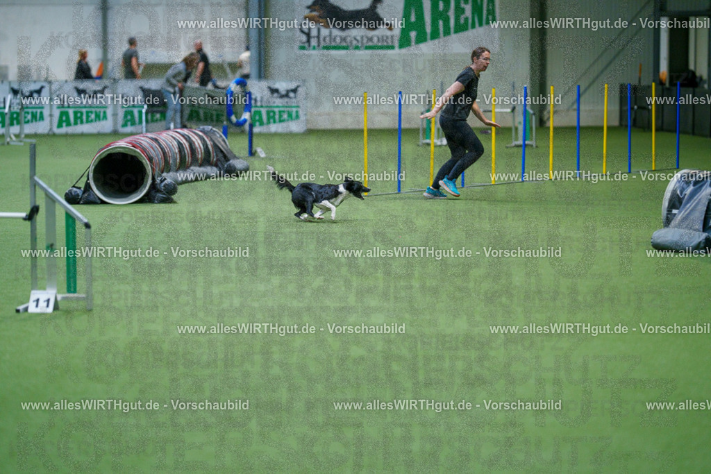 @allesWIRTHgut_Tierfotografie - www.allesWIRTHgut.de - 2604250830-7R506855 | Professionelle Tierfotografie in Mönchengladbach von Daniel Wirth (allesWIRTHgut). Liebevolle & natürliche Bilder von Hunden & Katzen für unvergessliche Erinnerungen.