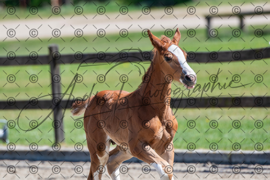 KPT_0791 | andre_photographic