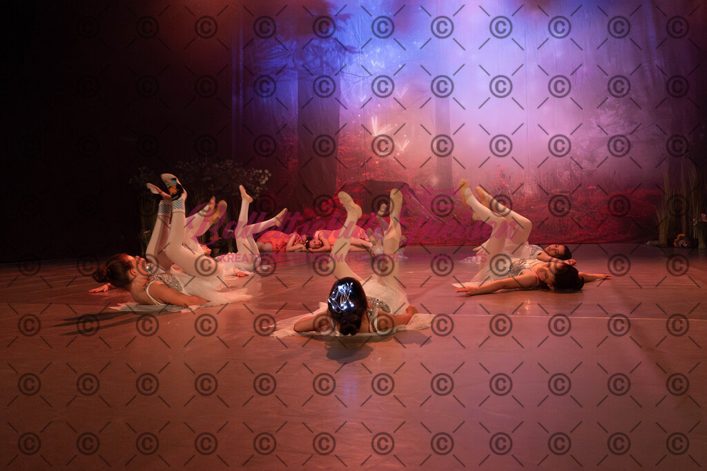 Ballettaufführung-1093 | Bildershop Lem'n Entertainment - Realisiert mit Pictrs.com