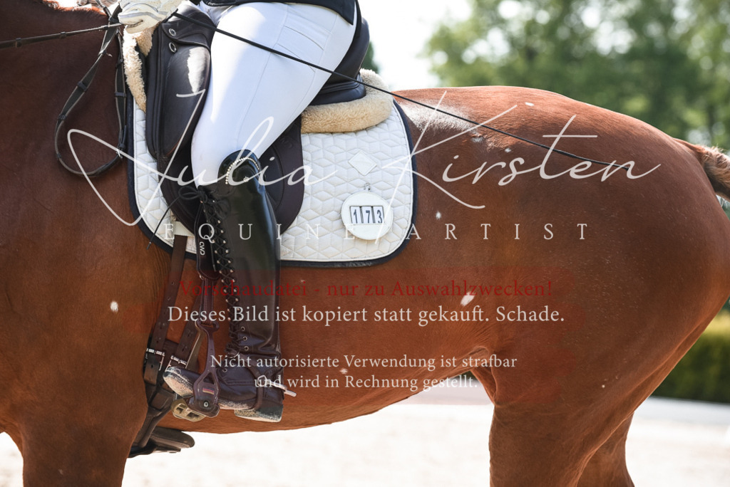 20230518_JK-Röhrsdorf-09-1278 | Pferde- und Turnierfotografie in Westsachsen. Pferdeportraits, Auftragszeichnungen und intuitive Kunst.