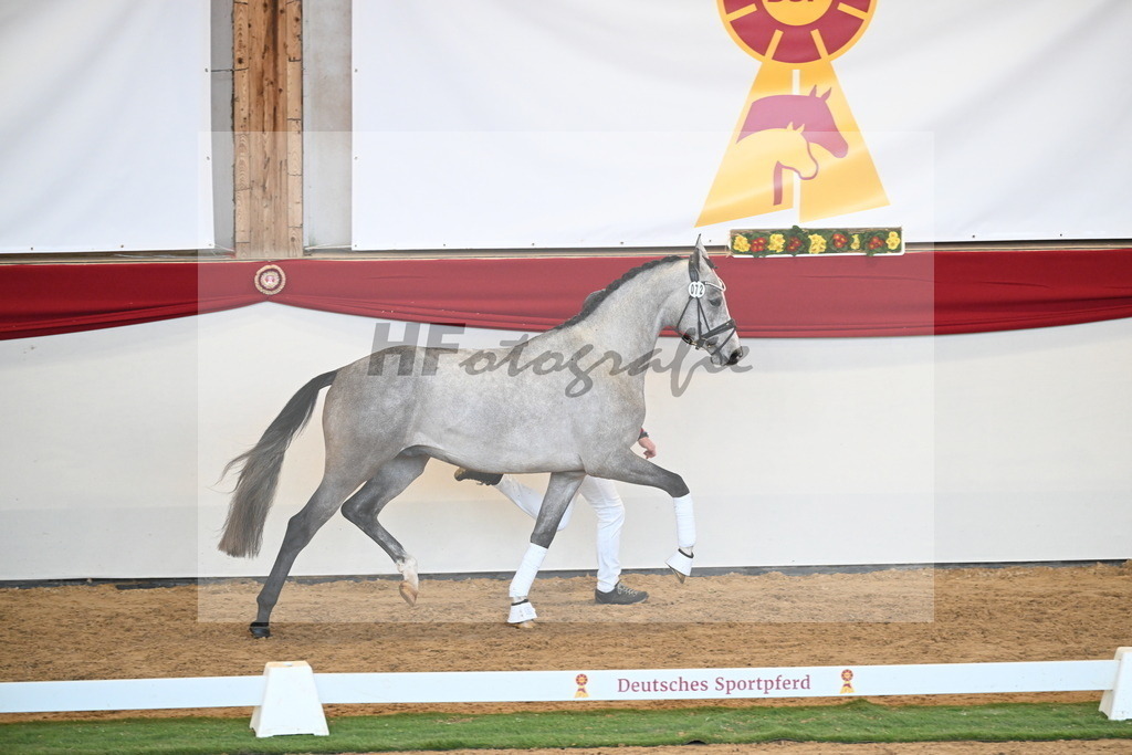 Kat.-Nr. 72 v. Johnson_Lehner_2250604 | hf-fotografie - Realisiert mit Pictrs.com