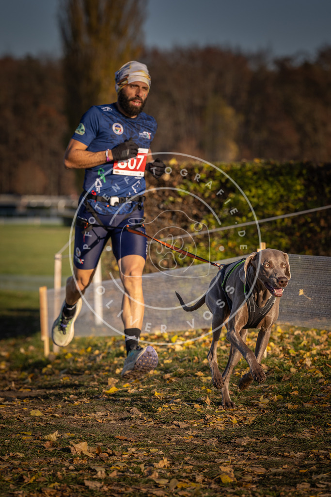 CaniXpix_DV3A2974 | Hundefotografie, Tierfotograf, Pfotenfotografie, Fotoshooting Hund, Hunde Portrait, Hundesport, Hundeportraits, Heideshooting, Hunde, Sportfotograf, Hundefotograf, Turnierhundsport, THS,  - Realisiert mit Pictrs.com