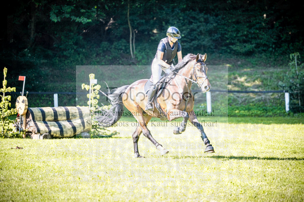 2026-05 - Melle Oldendorf-3-0070 | Entdecke hochwertige Reitturnierfotos von Foto Oger. Professionell, emotional und authentisch – jetzt Lieblingsmomente im Shop bestellen.Deutschlandweite Turnierfotografie. - Realisiert mit Pictrs.com