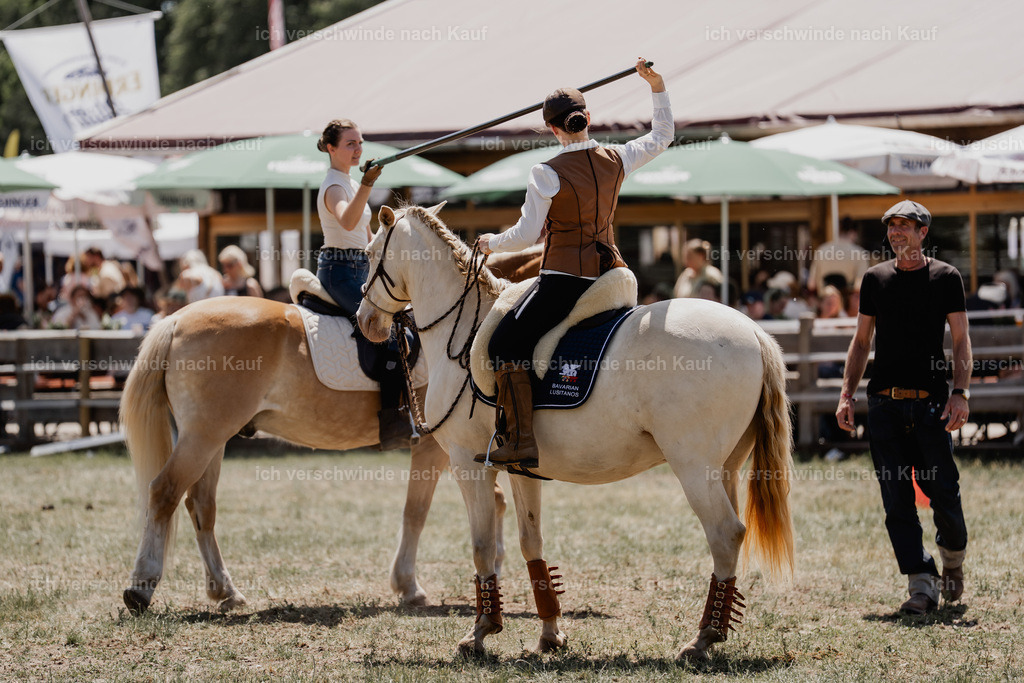 _DSC6976 | working equitationturnier fotograf videograf stoibphotography marixx film working equitation deutschland reitsport turnierfotografie eventfotografie equestrian events