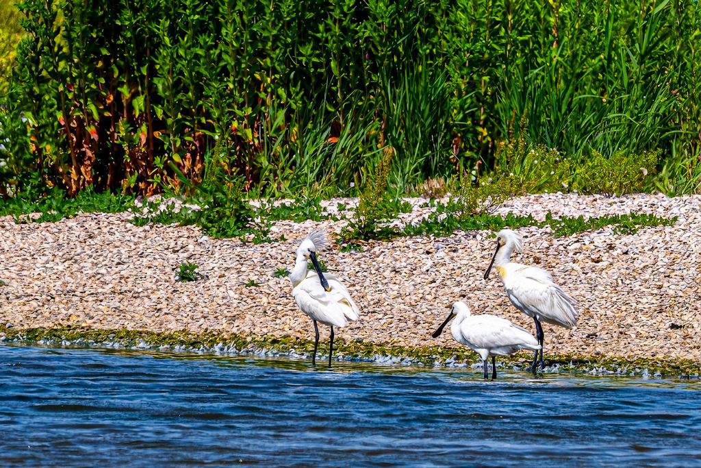 260611_Löffler_mr | Entdecke exklusive Fotografie im muebri Shop: Stimmungsvolle Motive  Naturaufnahmen und mehr. Jetzt hochwertige Wandbilder und Fotoabzüge online kaufen! - Realisiert mit Pictrs.com