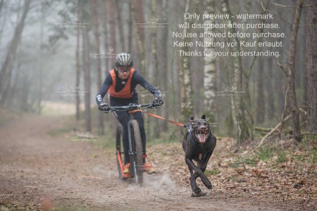 Scooter1-8 | stephaniefillaphotographie - Realisiert mit Pictrs.com