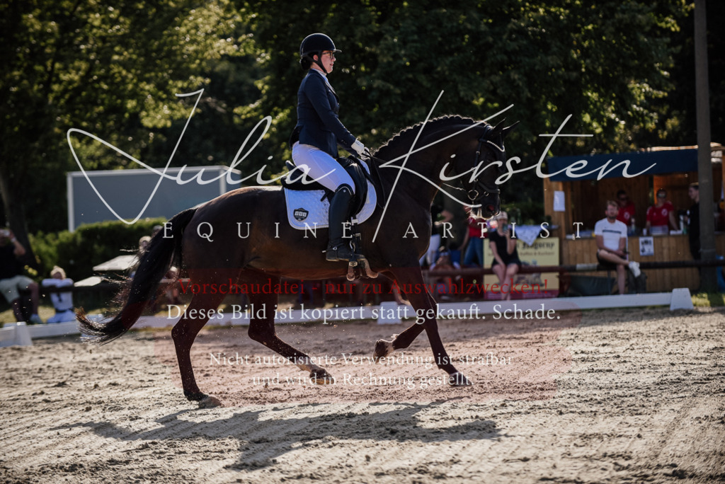 DSC_0582 | Pferde- und Turnierfotografie in Westsachsen. Pferdeportraits, Auftragszeichnungen und intuitive Kunst.