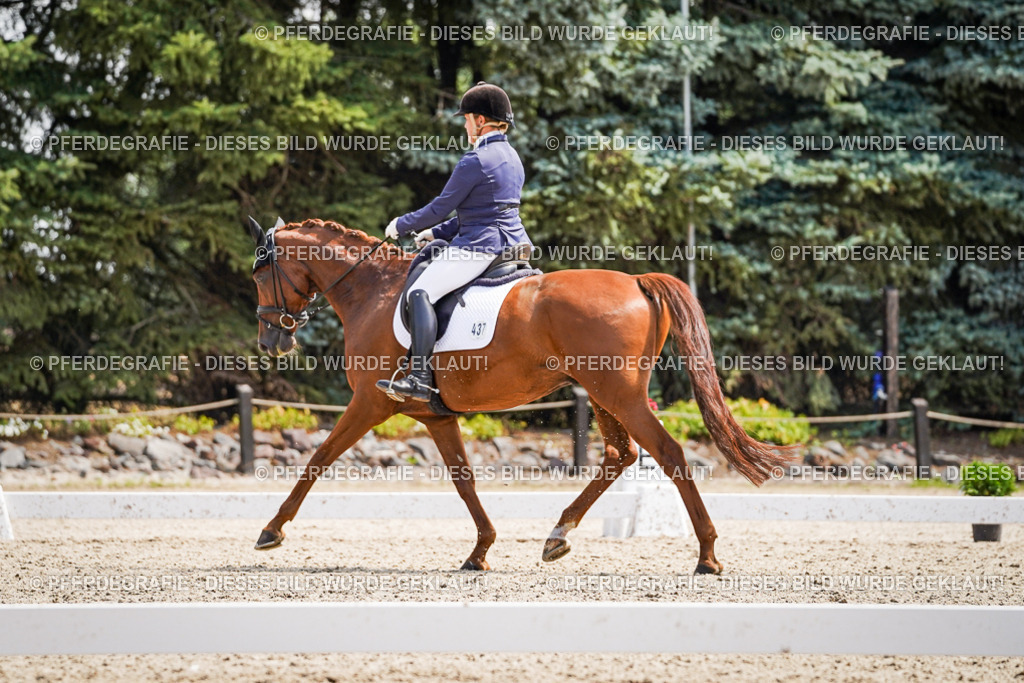 DSC00657 | Pferdegrafie