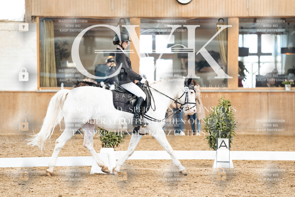 CK900191 | Turnierfotografie Pferdefotografie Trier Rheinland-Pfalz Pferdesport Reitsport Tierfotografie Sportfotografie Pferdevideo Pferdevideografie Equestrianvideography equestrianphotography  - Realized with Pictrs.com