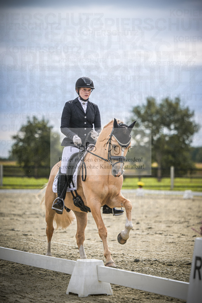 DOS_1806 | Entdecke hochwertige Reitturnierfotos von Foto Oger. Professionell, emotional und authentisch – jetzt Lieblingsmomente im Shop bestellen.Deutschlandweite Turnierfotografie. - Realisiert mit Pictrs.com