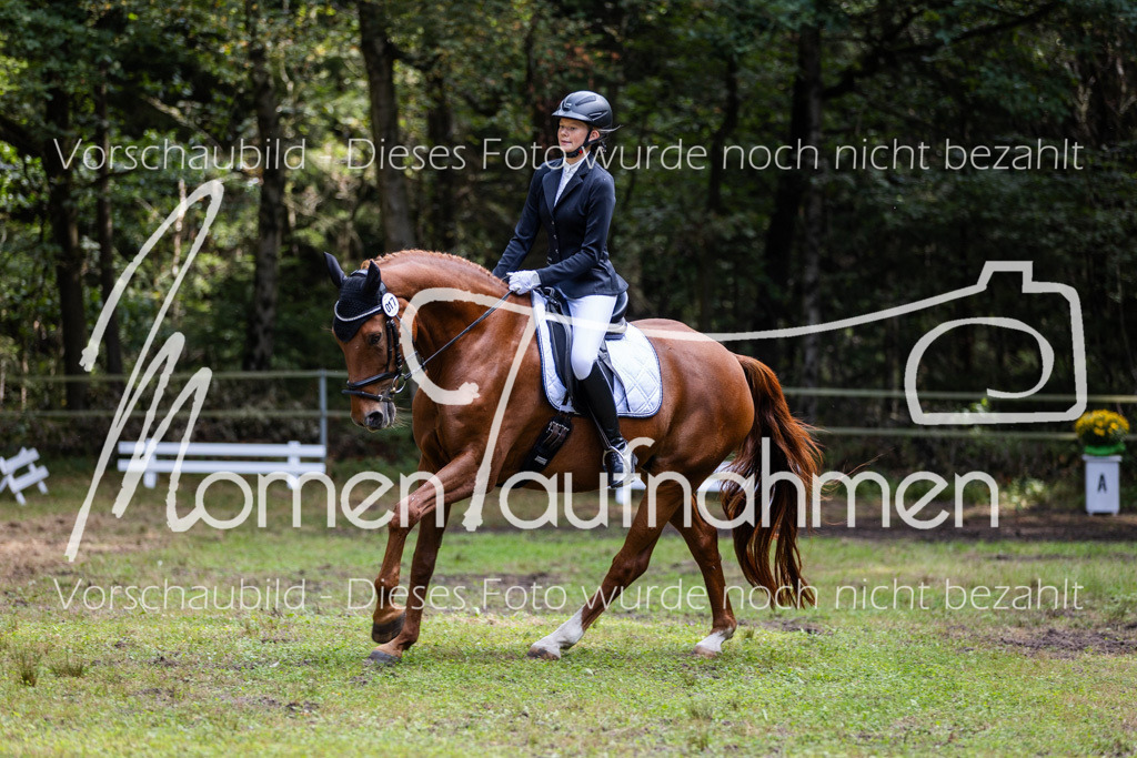 HB-Dressur-WB-052 | MomenTaufnahmen Pferdesportfotos