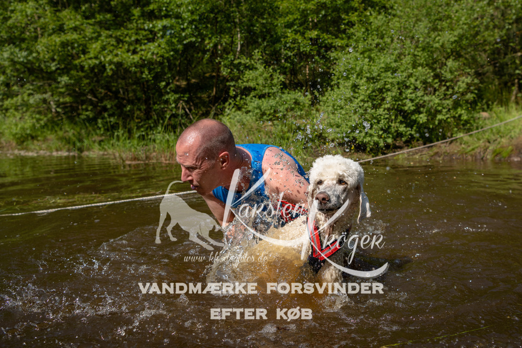 1028DKK990769 | kk-dogfotos