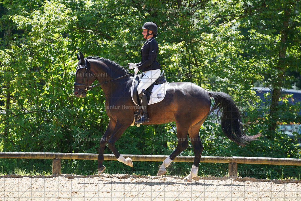 20240705-FAH03912 | Turnierbilder von Grafing, Reitsportbilder, Turnierfotos, Turnierfotografen Bayern, Pferdefotograf, Fotoagentur Herrmann