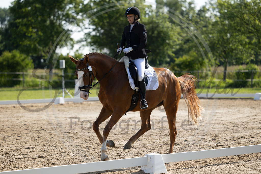 994A4174 | sabrinanicolaifotografie - Realisiert mit Pictrs.com