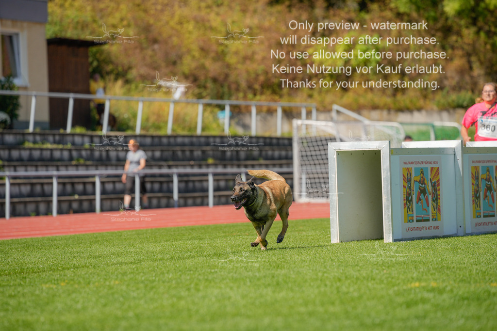 Sonntag_VK Hindernis (432 von 671) | stephaniefillaphotographie - Realisiert mit Pictrs.com