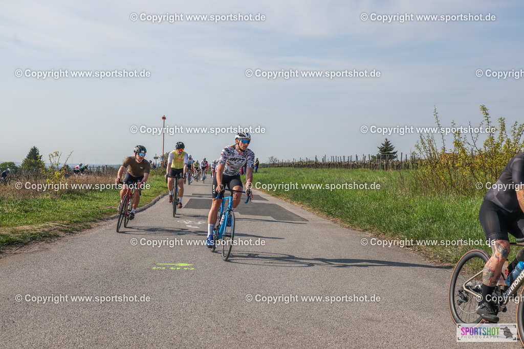 007A8839 | Neusiedlersee Radmarathon #neusiedlerseeradmarathon #neusiedlersee #nrm26 #yourpictrs #sportshot_your_pictrs