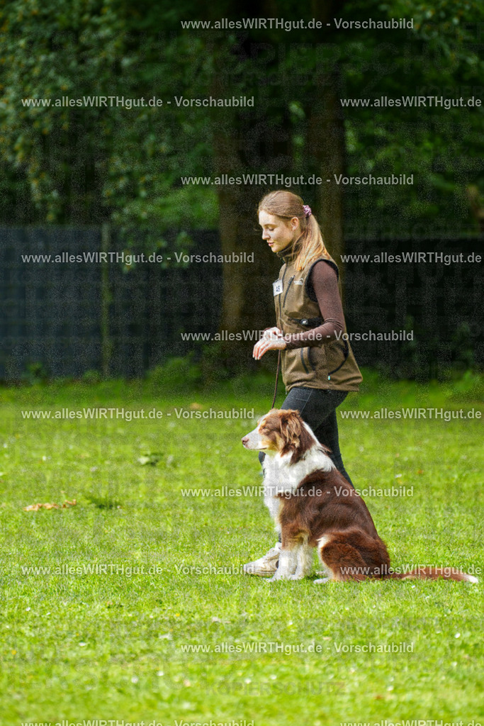 @allesWIRTHgut_Tierfotografie - www.allesWIRTHgut.de - 7R500508 | Professionelle Tierfotografie in Mönchengladbach von Daniel Wirth (allesWIRTHgut). Liebevolle & natürliche Bilder von Hunden & Katzen für unvergessliche Erinnerungen.