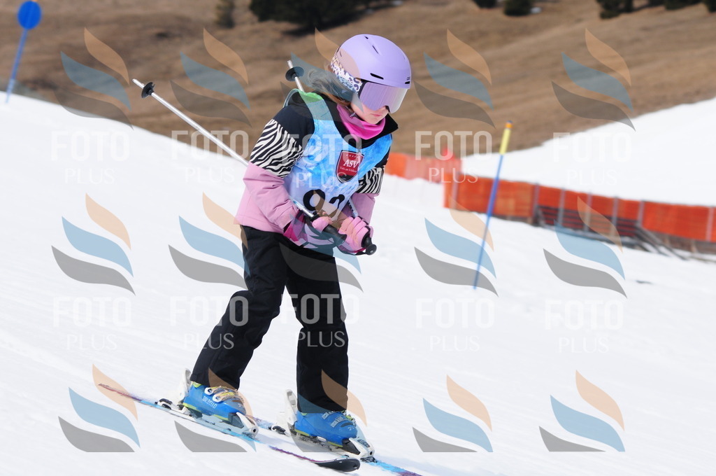 A3799 | holidayphoto