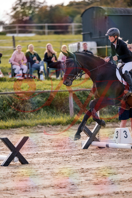 2026_10_03_Siefer-Hof_144031_Z81_11373214 | Professionelle Reitsport-, Turnier- und Eventfotografie von Robert Broda. Galerien mit ausgewählten und bearbeiteten Bildern direkt online ansehen und bestellen.
