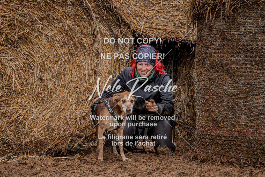 nelerasche_Hunsrück_So12-13_75 | nelerasche