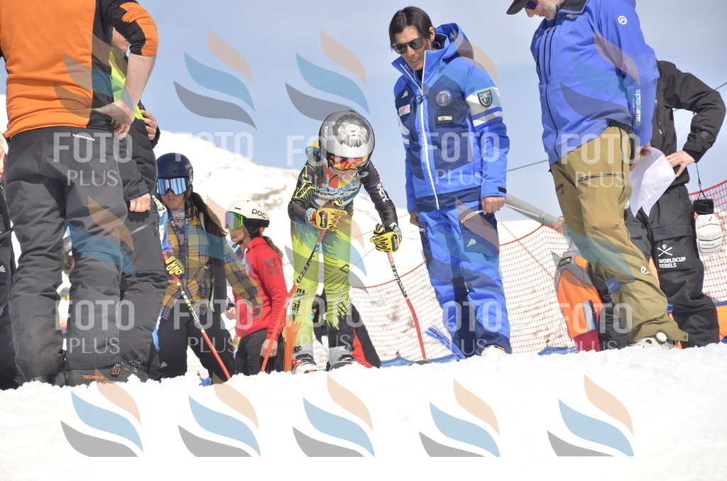 _ELE9299 | holidayphoto