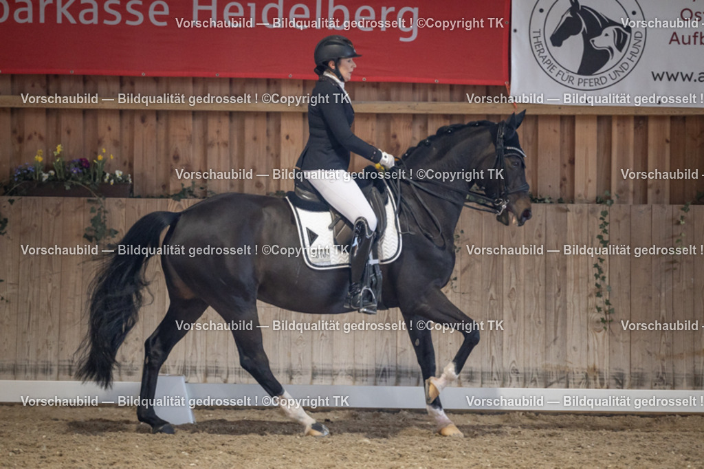 _D5A1826 | Emotionale Pferde- & People-Fotografie rund um Heidelberg, Leimen & Umgebung. Natürliche Fotos von Pferd, Mensch & Familie. Jetzt Termin sichern!