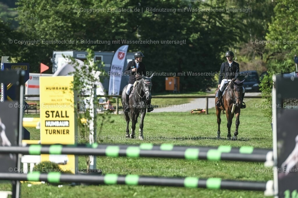 20230908_14-15_Springpferde-A_0109 | equistock