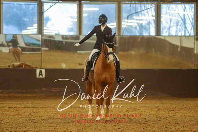 IMG_7063 | Turniersportfotografie; Pferdefotografie; Dressurfotografie