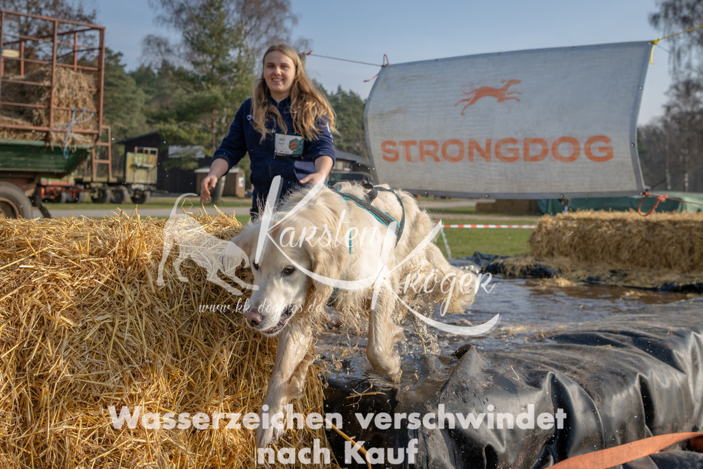 _ZZ94297 | kk-dogfotos