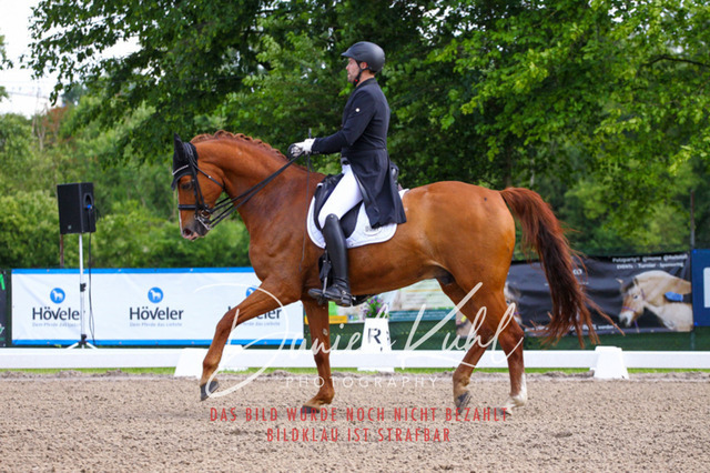 DKP41288 | Turnierfotos kaufen im Webshop von Daniel Kuhl Photography – entdecke professionelle Reitsportfotos aus Turnieren & Events. Hochwertige Turnierbilder online bestellen & sichern. Jetzt Fotos von Reitsportturnieren kaufen!
