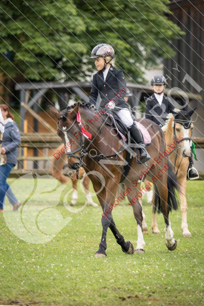 IMG_1962 | Sport-, Event- und Tierfotos in Profiqualität. Einfach auswählen, bestellen und herunterladen. Dein Moment – perfekt festgehalten.