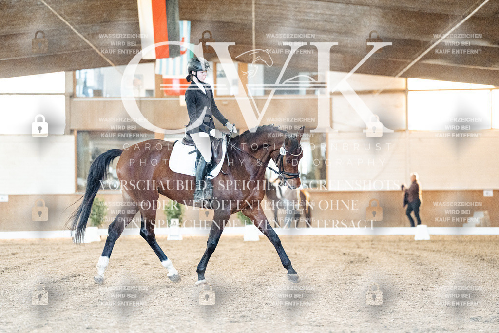 CK906486 | Turnierfotografie Pferdefotografie Trier Rheinland-Pfalz Pferdesport Reitsport Tierfotografie Sportfotografie Pferdevideo Pferdevideografie Equestrianvideography equestrianphotography  - Realized with Pictrs.com