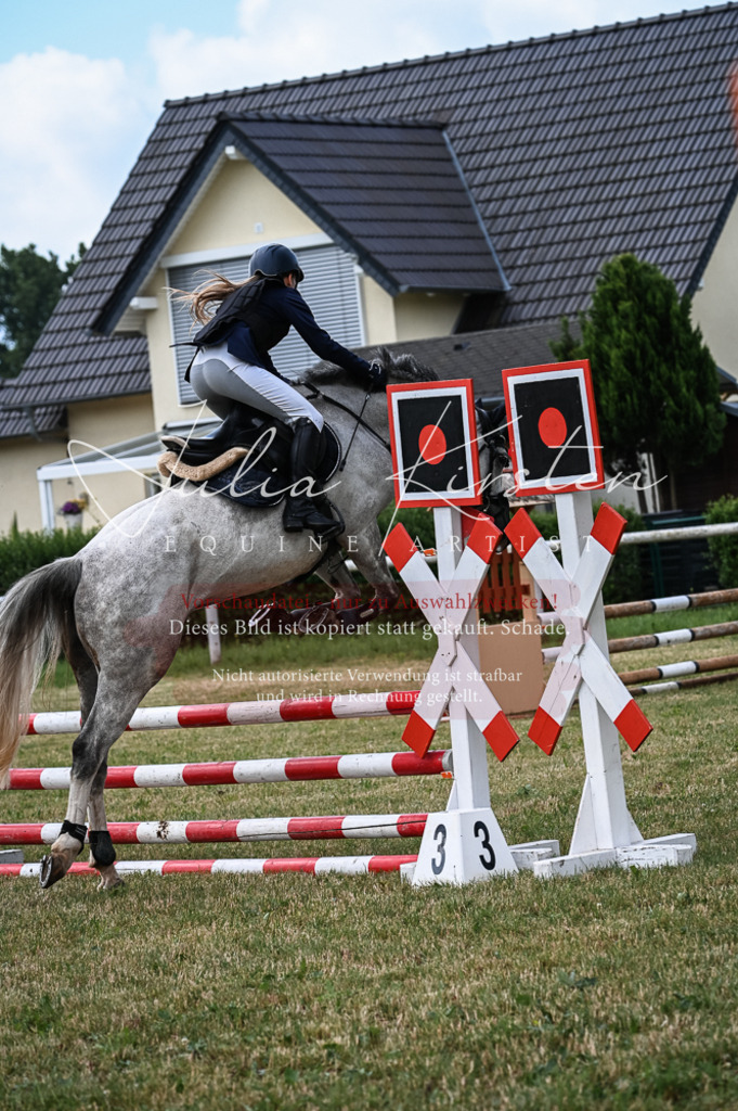 DSC_8146 | Pferde- und Turnierfotografie in Westsachsen. Pferdeportraits, Auftragszeichnungen und intuitive Kunst.