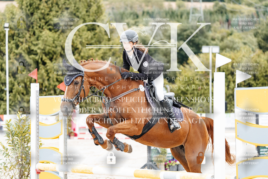 CK908381 | Turnierfotografie Pferdefotografie Trier Rheinland-Pfalz Pferdesport Reitsport Tierfotografie Sportfotografie Pferdevideo Pferdevideografie Equestrianvideography equestrianphotography  - Realisiert mit Pictrs.com