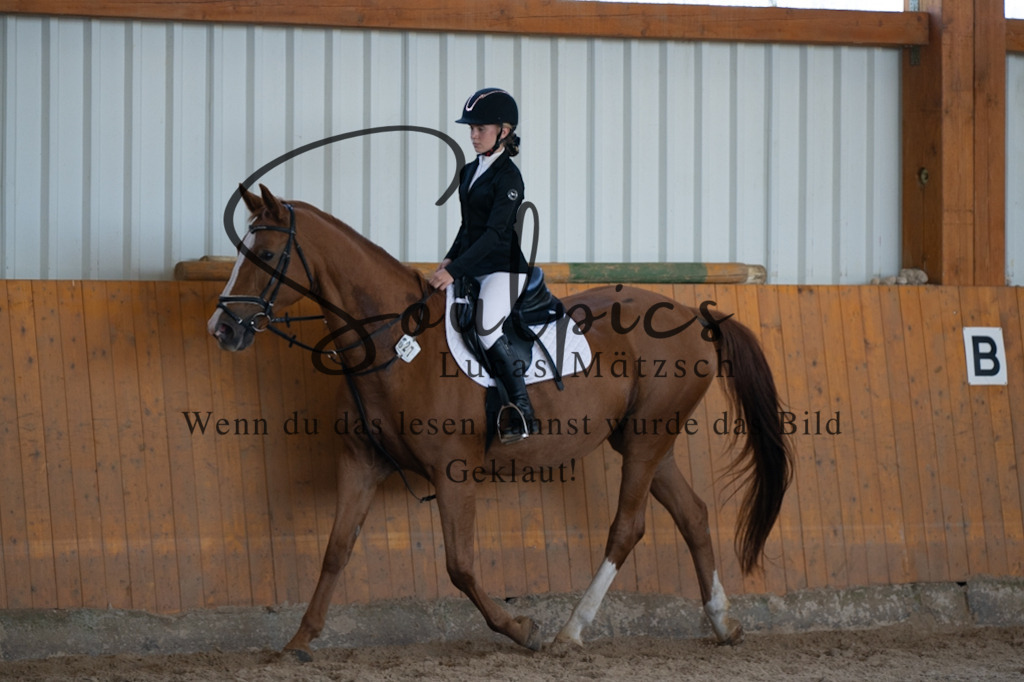 A7V02051 | Turnier/Reitfotograf