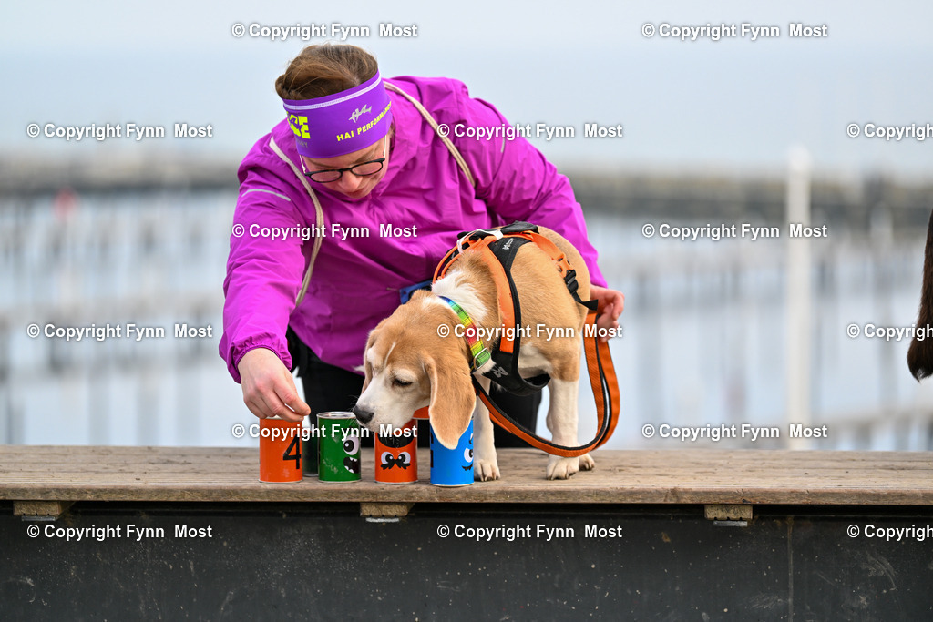 DSC_5853 | Hallo und herzlich Willkommen auf meiner Shop-Seite Fynn Most.

Ich wünsche Dir viel Spaß beim stöbern durch die Bilder, wenn Du Fragen hast oder Bilder vermisst, kannst du mir gerne eine Nachricht schreiben. - Realisiert mit Pictrs.com