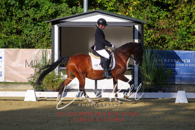 DKP41057 | Turniersportfotografie; Pferdefotografie; Dressurfotografie