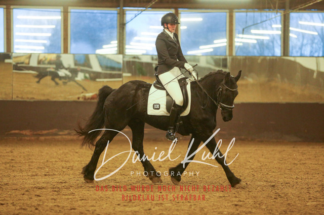 IMG_8323 | Turniersportfotografie; Pferdefotografie; Dressurfotografie