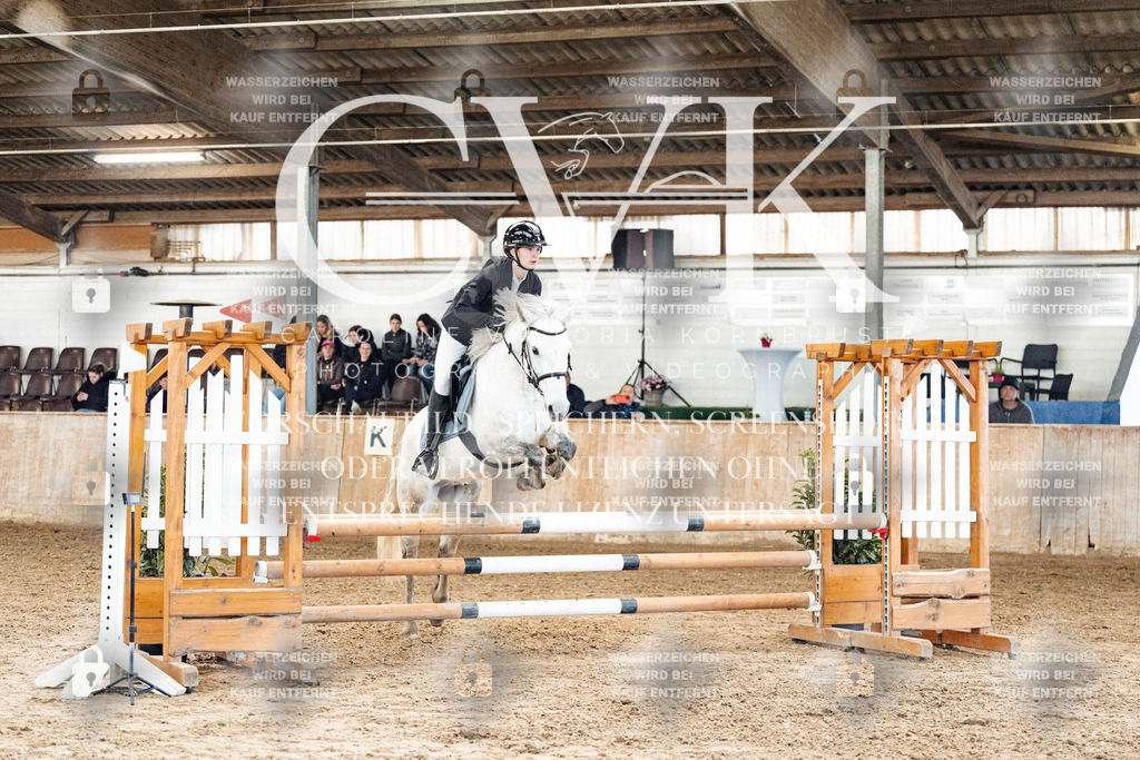 CK904816 | Turnierfotografie Pferdefotografie Trier Rheinland-Pfalz Pferdesport Reitsport Tierfotografie Sportfotografie Pferdevideo Pferdevideografie Equestrianvideography equestrianphotography  - Realisiert mit Pictrs.com
