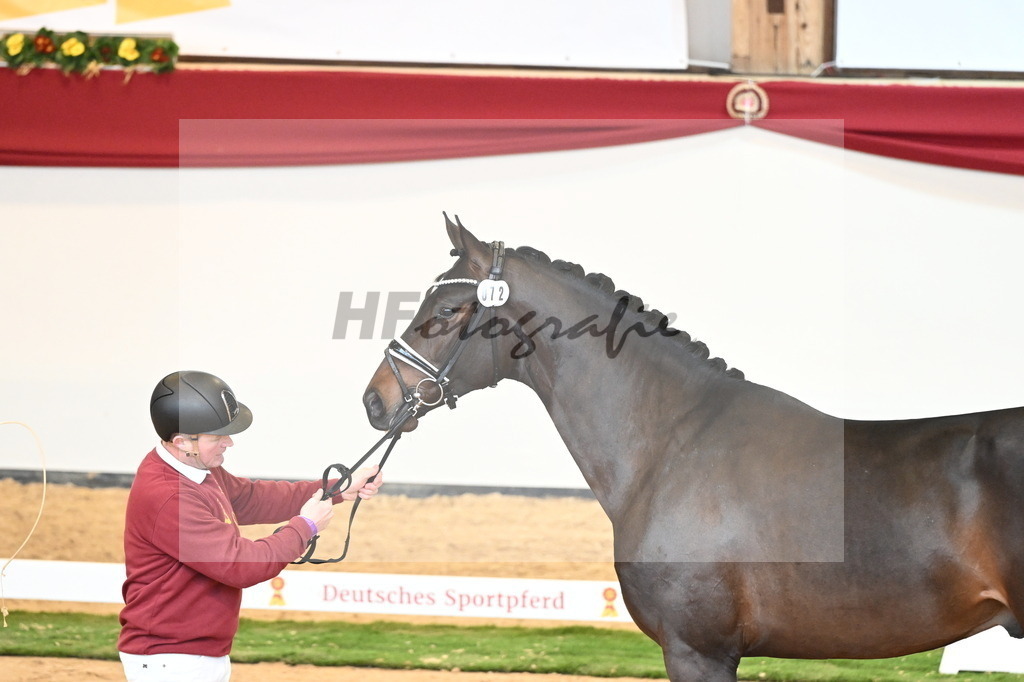 Kat.-Nr. 72 v. Va Bene_Bergmann_2240697 | hf-fotografie - Realisiert mit Pictrs.com