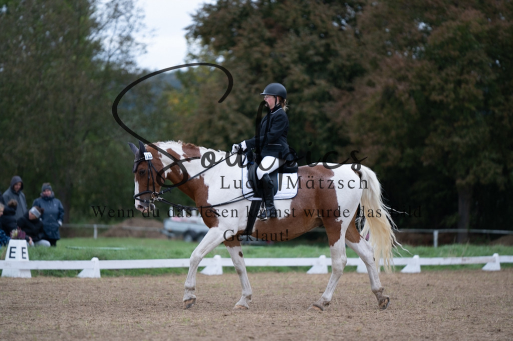 A7V05032 | Pferdefotograf