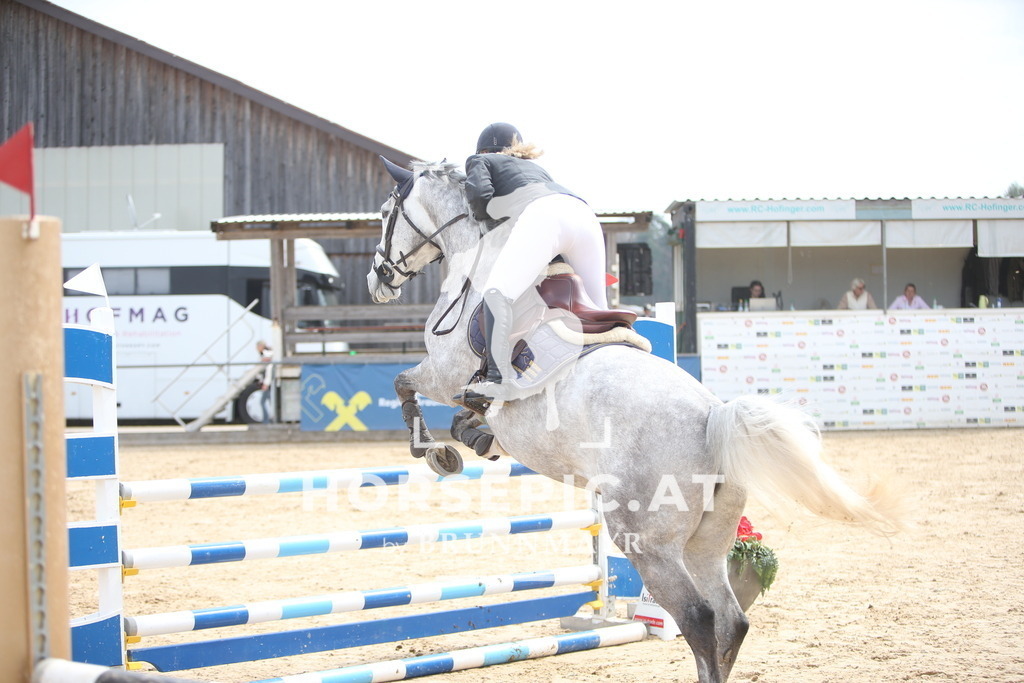 PP017191 | Willkommen bei Brunnmayr - Design & Fotografie – Ihrem Spezialisten für Reitturniere und Pferdeveranstaltungen in Oberösterreich, Salzburg und Bayern! Seit über 17 Jahren sind wir leidenschaftlich dabei.