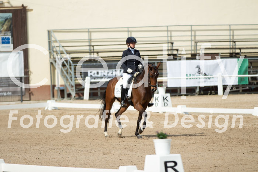 IMG_1277 | Creatify Fotografie